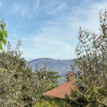 Elegante Appartamento Con Vista - Colli Euganei Teolo Exteriér fotografie